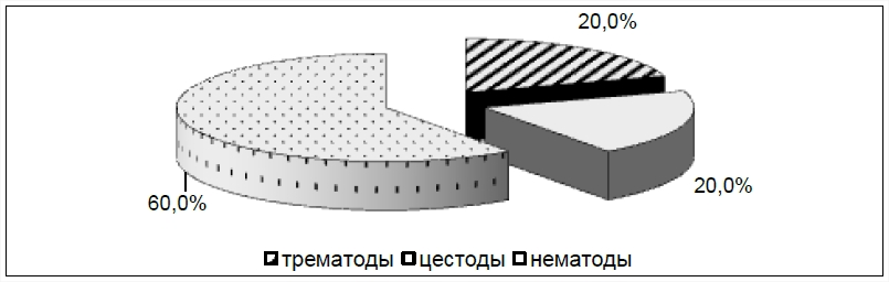 Соотношение числа видов основных систематических групп гельминтов, зарегистрированных у собак в Воронежской области